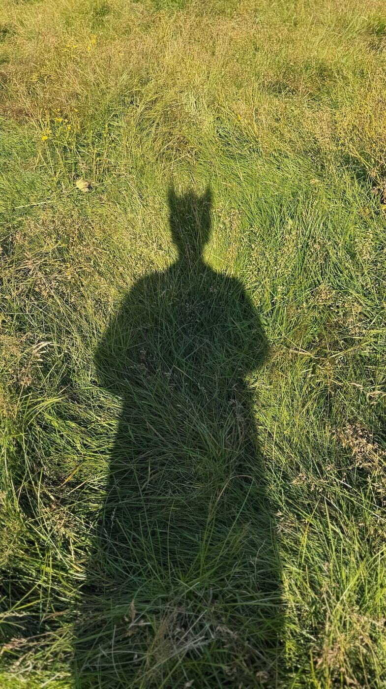 Hólmur Heilsa